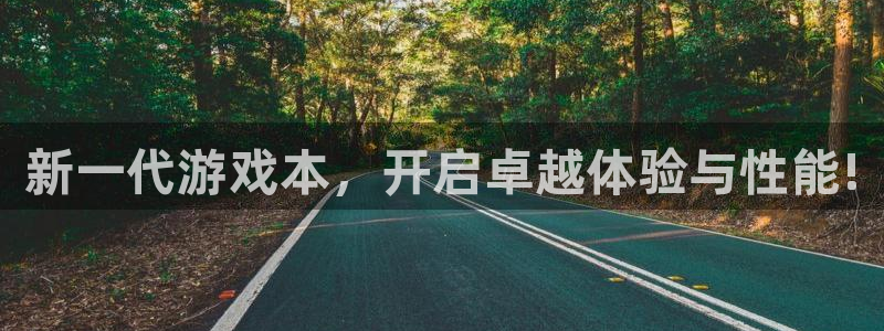 辉达娱乐平台官网登录：新一代游戏本，开启卓越体验与性能!