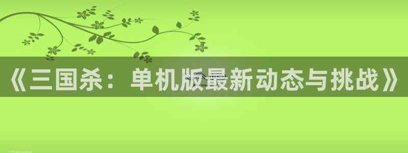 辉达娱乐升级5994月：《三国杀：单机版最新动态与挑战》