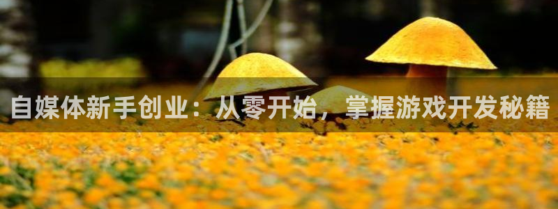 辉达娱乐注册测速：自媒体新手创业：从零开始，掌握游戏开发秘籍