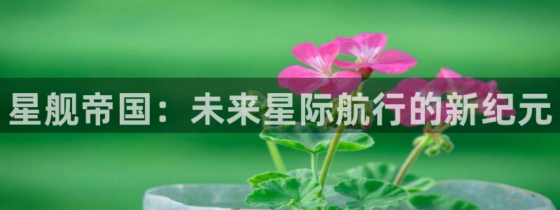 辉达娱乐直属：星舰帝国：未来星际航行的新纪元
