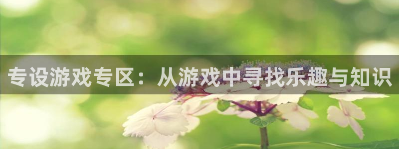 辉达娱乐代理登陆：专设游戏专区：从游戏中寻找乐趣与知识