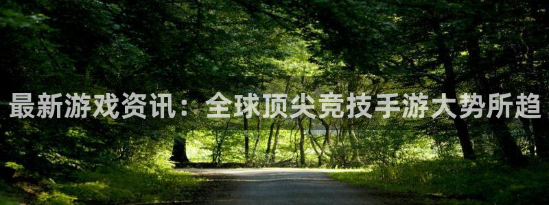 辉达娱乐平台官网入口：最新游戏资讯：全球顶尖竞技手游大势所趋
