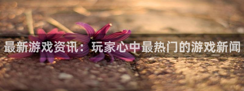 辉达娱乐2登录：最新游戏资讯：玩家心中最热门的游戏新闻