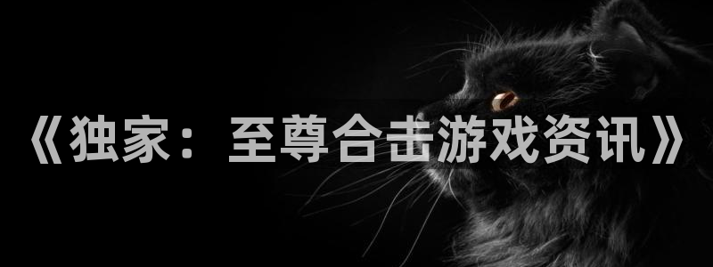 辉达娱乐平台负责人：《独家：至尊合击游戏资讯》