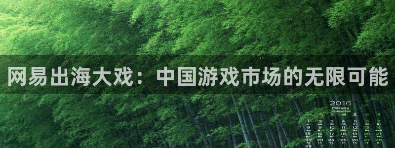 辉达娱乐网址注册：网易出海大戏：中国游戏市场的无限可能